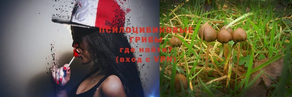 ГАЛЛЮЦИНОГЕННЫЕ ГРИБЫ Горнозаводск