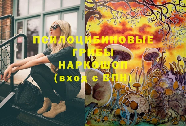 2c-b Горняк