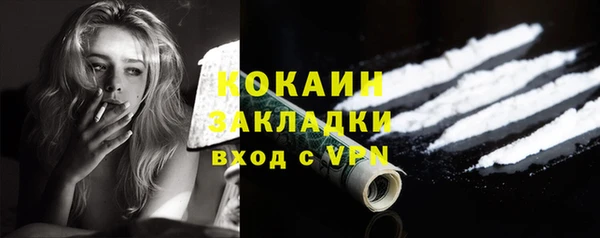 твердый Вяземский