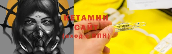 твердый Вяземский