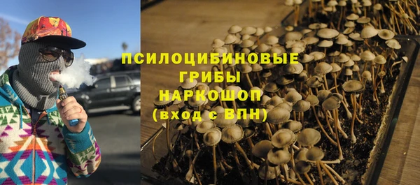 ГАЛЛЮЦИНОГЕННЫЕ ГРИБЫ Горнозаводск