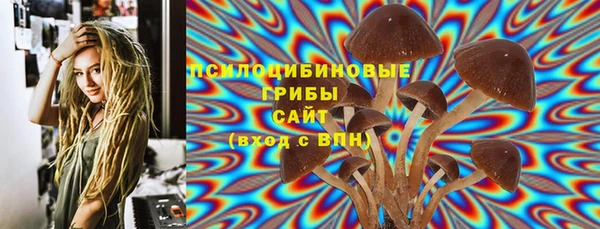2c-b Горняк