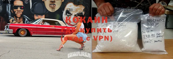 твердый Горно-Алтайск