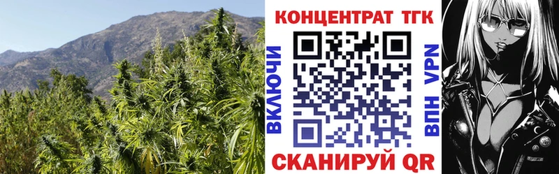 Купить закладки  Курчатов  ТГК жижа 