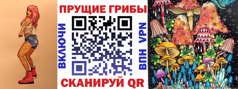 Купить  Курчатов  Псилоцибиновые грибы ЛСД 